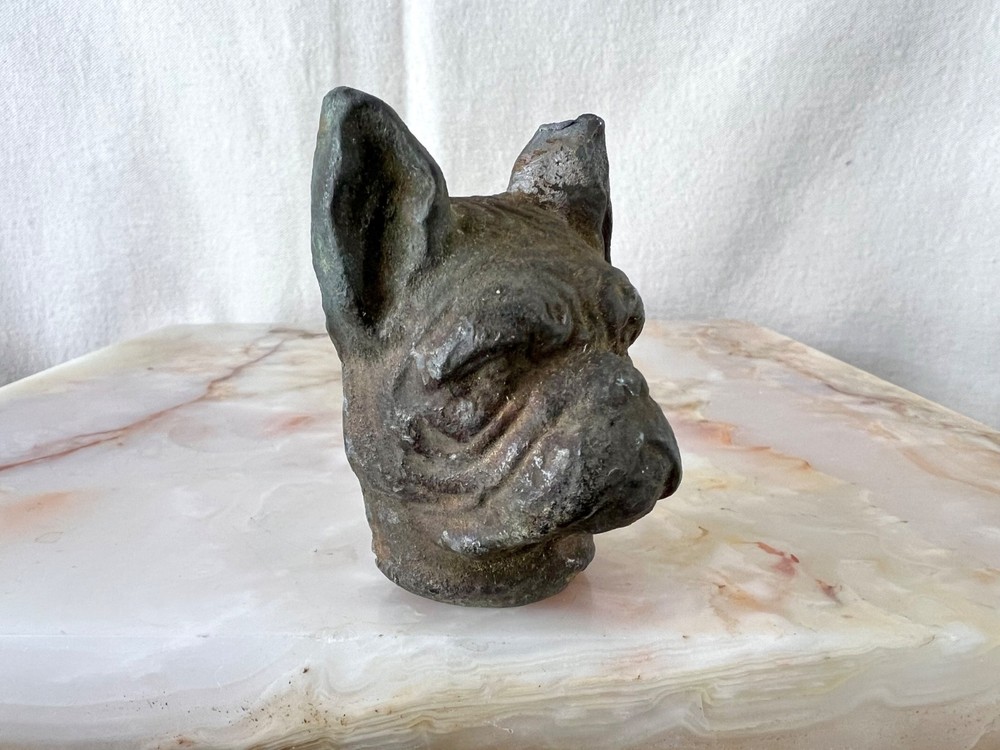Antique Solid Bronze Bulldog Head Architectural Mount c1900