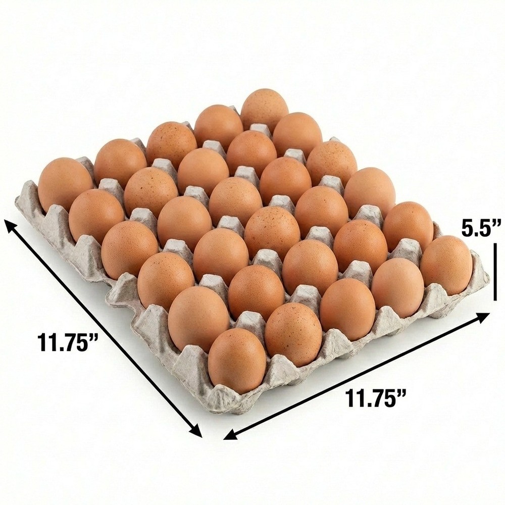Pulp Flat Egg Carton