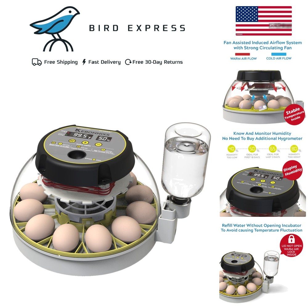 12 Egg Incubator with Humidity Display Automatic Turn and Egg Candler