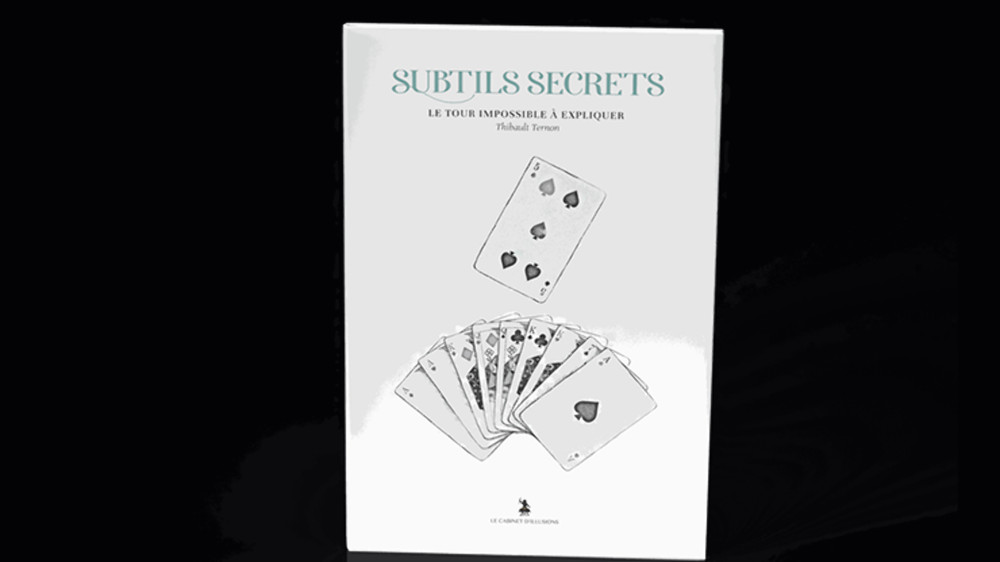 Subtle Secrets 2 by Thibault Ternon