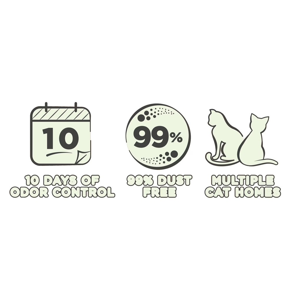 (2 pack) Special Kitty Clumping Clay Cat Litter, Fresh Scent, 45 lbs Box