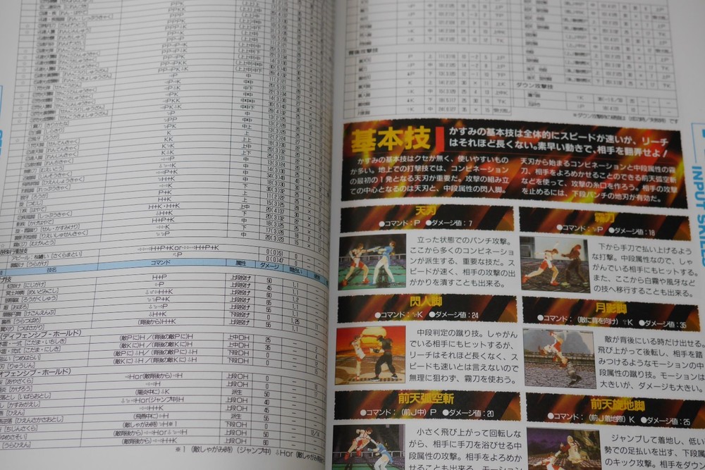 SHOHAN OOP: Dead or Alive Perfect Guide Book For Saturn JAPAN