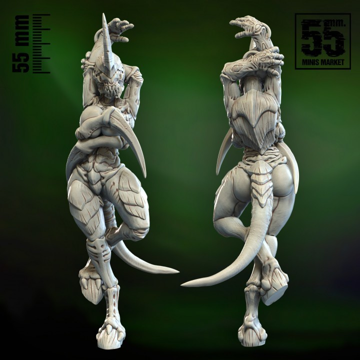 Shee 55mm Brand Model