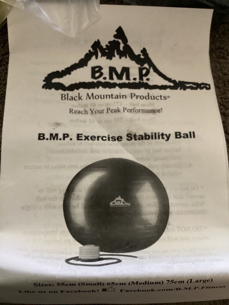 4 Black Mountain Products 65cm Medium Black Exercise Stability Balls With Pumps
