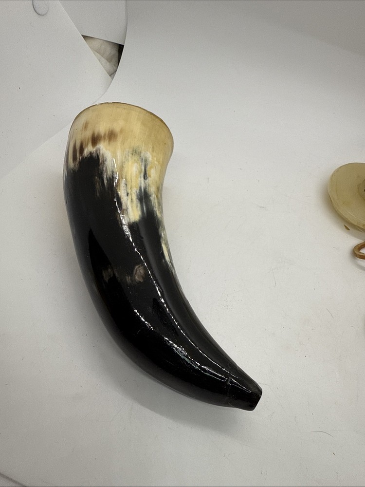 Powder Horn, 6”