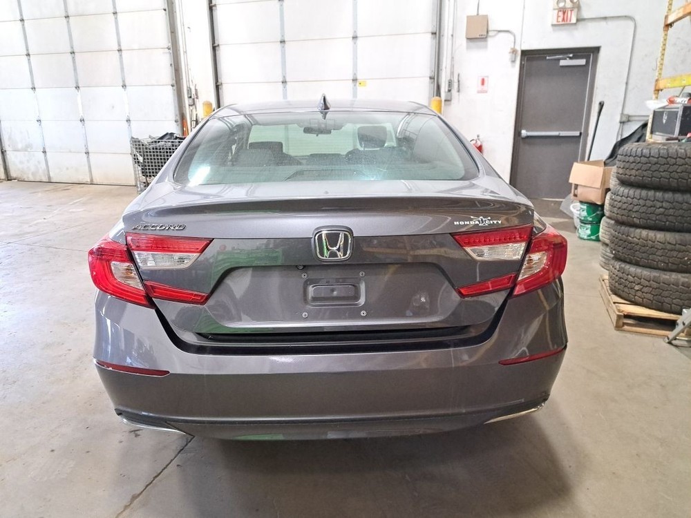 2019 Accord Jack Sku#4260589