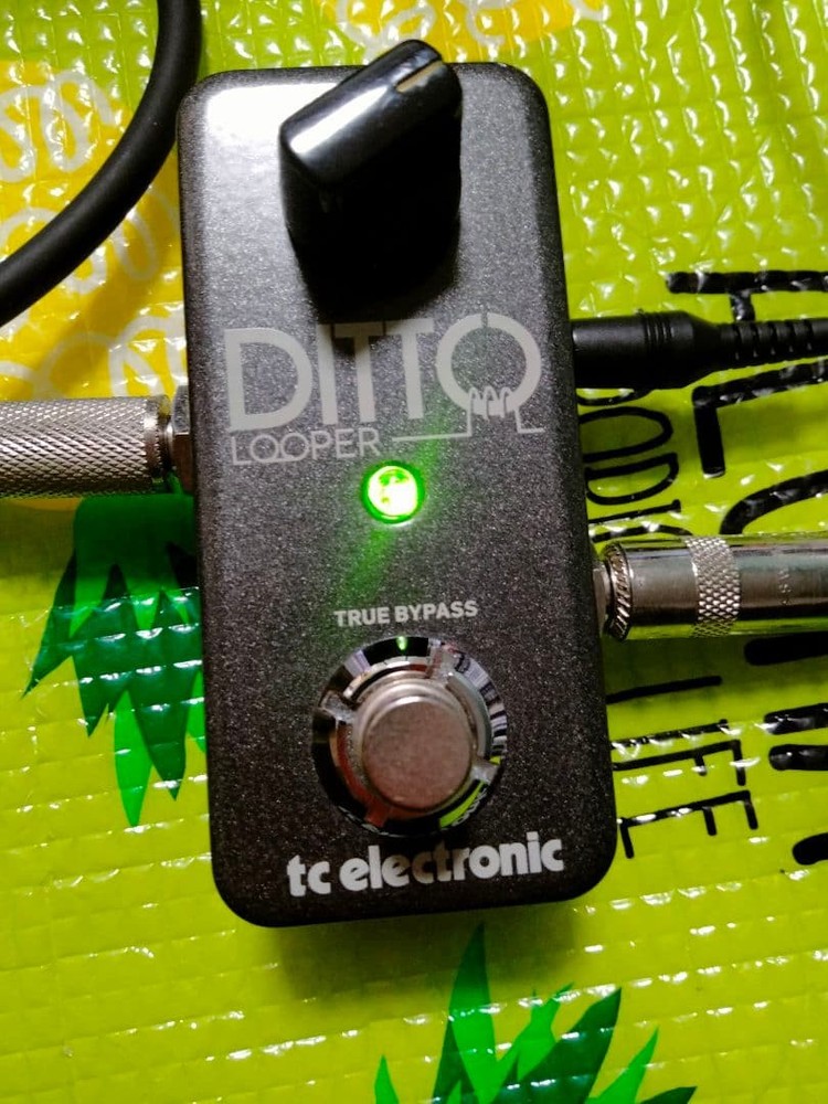 Ditto Looper TC Electronic original box 509168