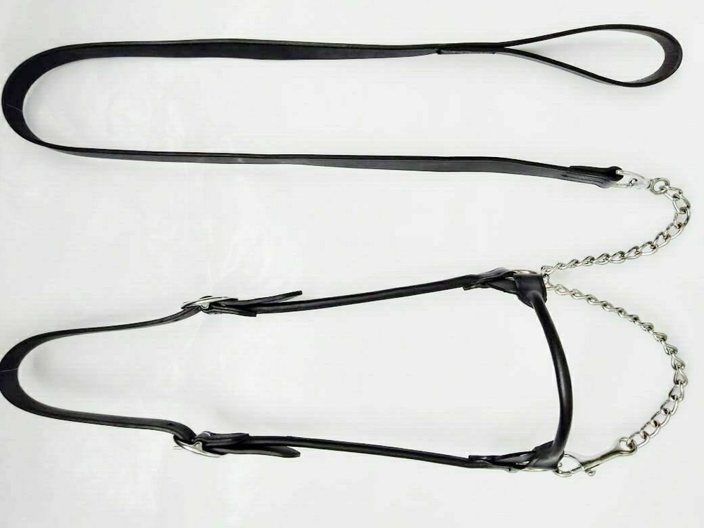 Show Halter With Leather Bling With Silver Fitting black Colour