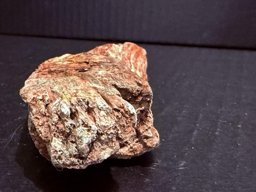 petrified wood