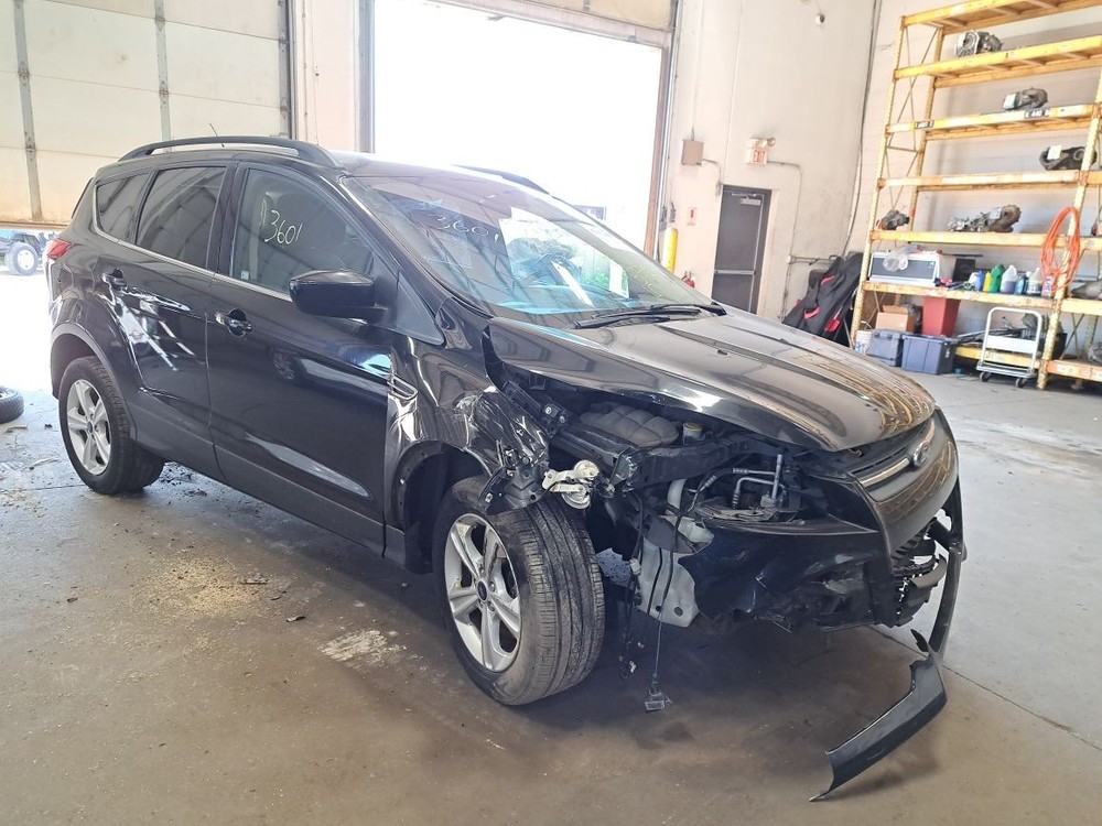 2015 Escape Jack Sku#4182999