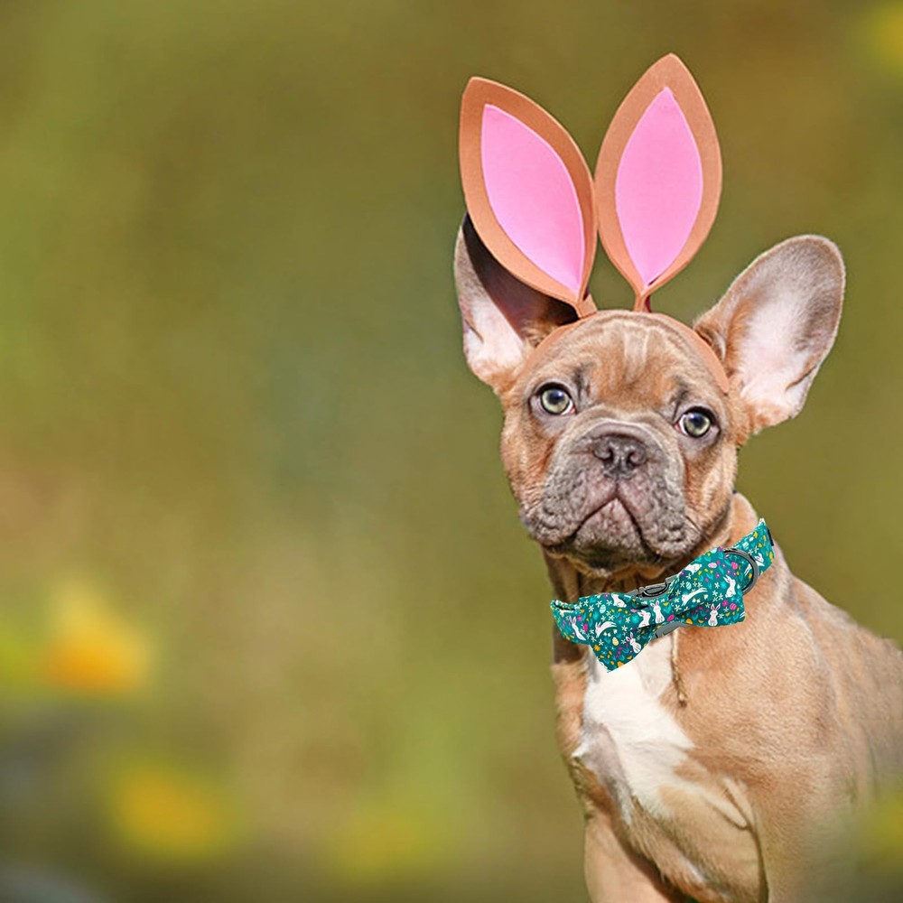 Medium Bunny Print Easter Dog Collar Cotton Adjustable with Buckle Closure