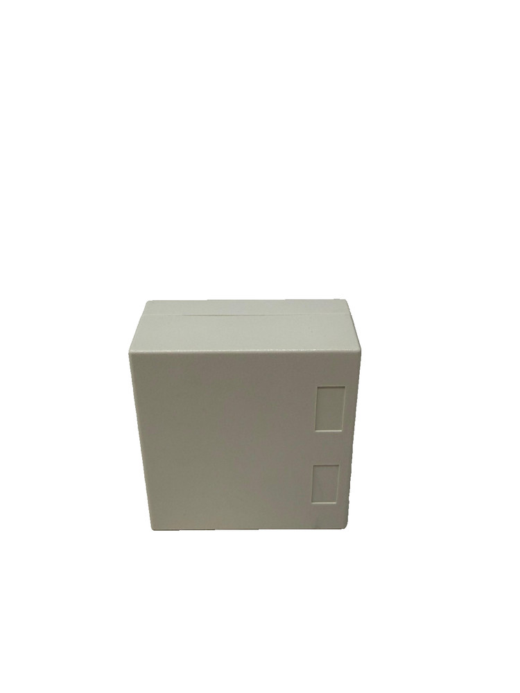 New 2‑Port Surface Mount Box WP3502‑IV (Box of 10)