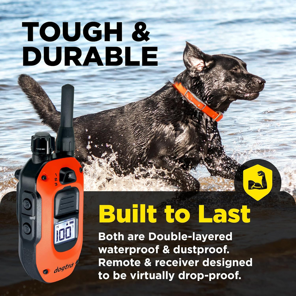 Dogtra 1900X Orange E-Collar for Dog Training - 3/4 Mile Range - Waterproof