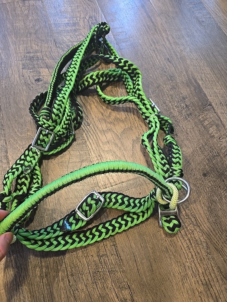 Bitless Bridle