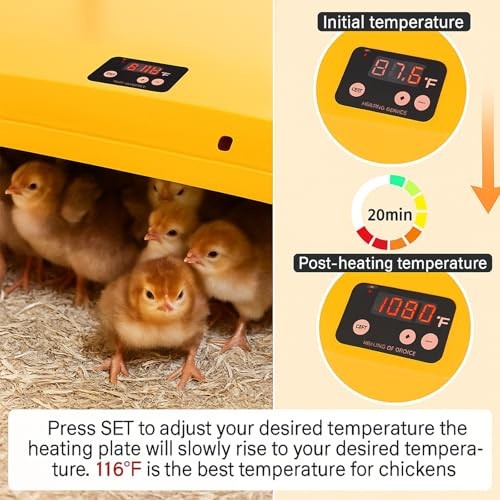 Adjustable 16x16 brooder Heating Plate for Baby Chicks, Providing Constant, red