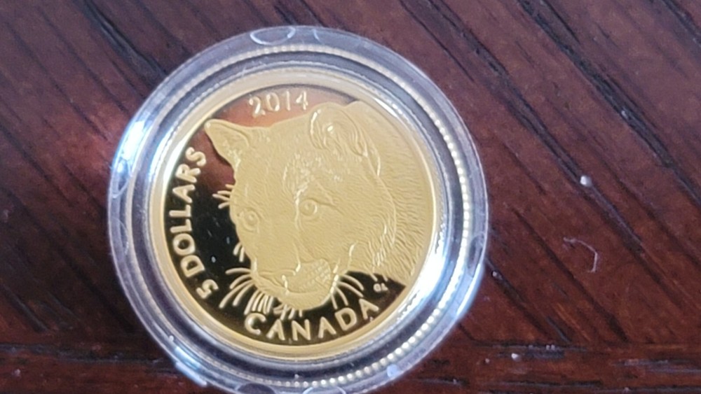 2014 RCM Cougar Set In Case