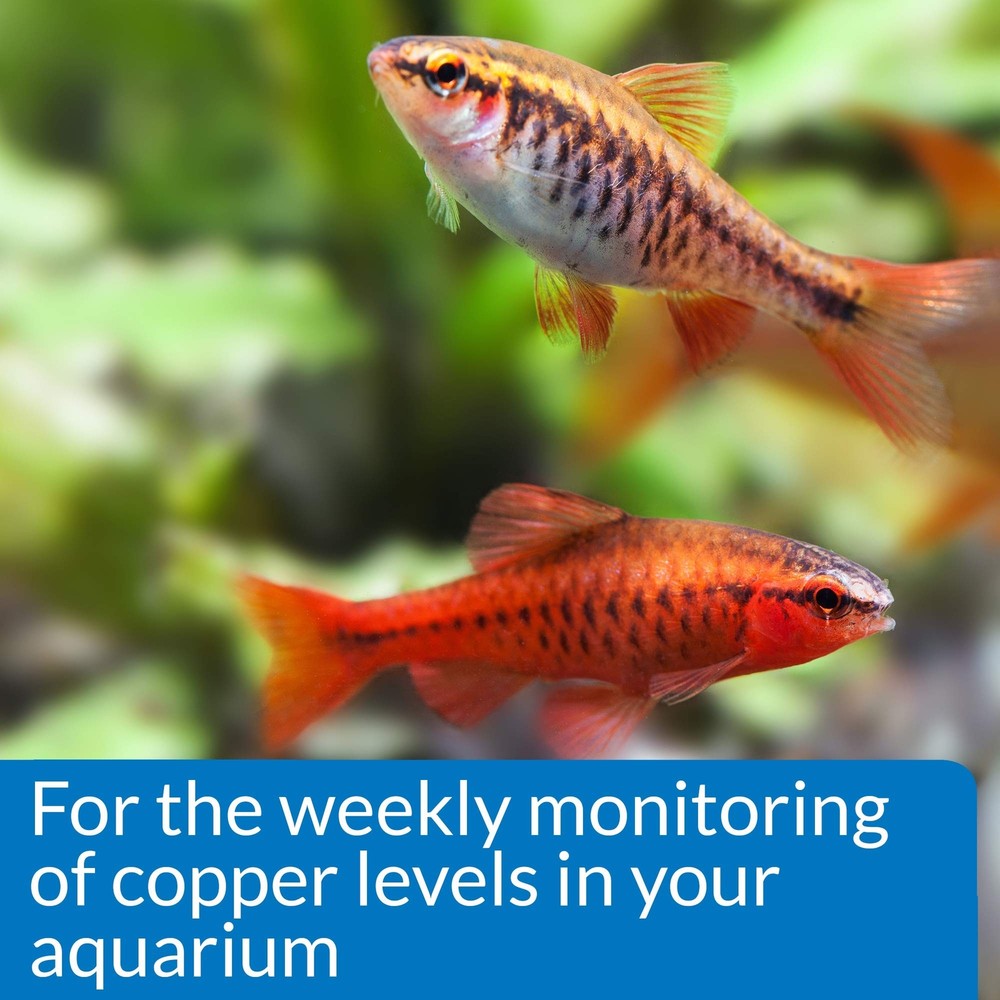 API COPPER TEST KIT 90-Test Aquarium Water Test Kit 90 test