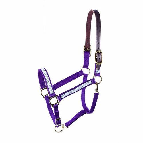 Perri's Leather Ribbon Safety Halter