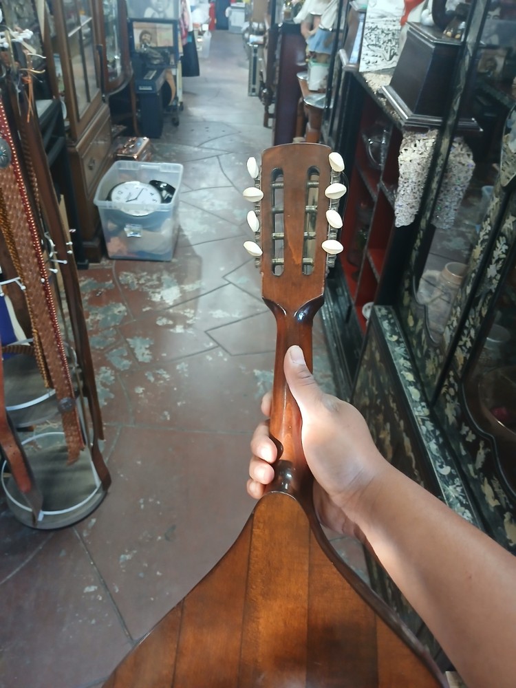 egmond mandolin made in holland