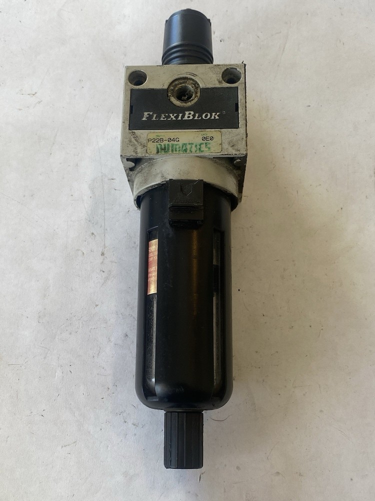 Numatics P22B-04G Particulate Filter/Regulator 0-125 psig