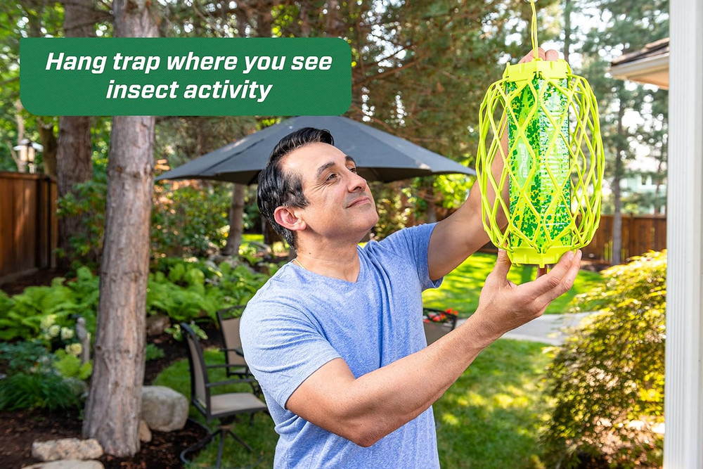 Visilure® Trapstik for Wasps, Mud Daubers, Carpenter Bees – 2 Pack