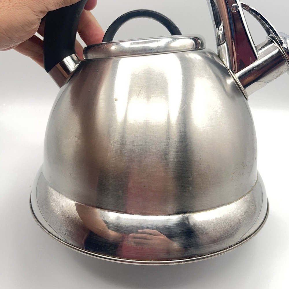 Pykal Stainless Whistling Tea Kettle Designed In Germany