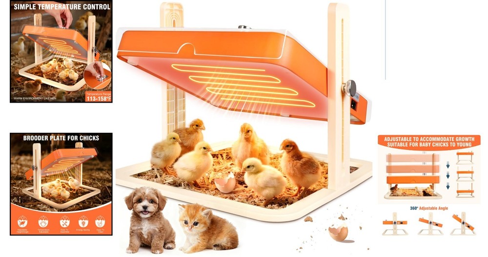Adjustable Chicken Brooder Heating Plate for Optimal Chick Growth - -Compliant