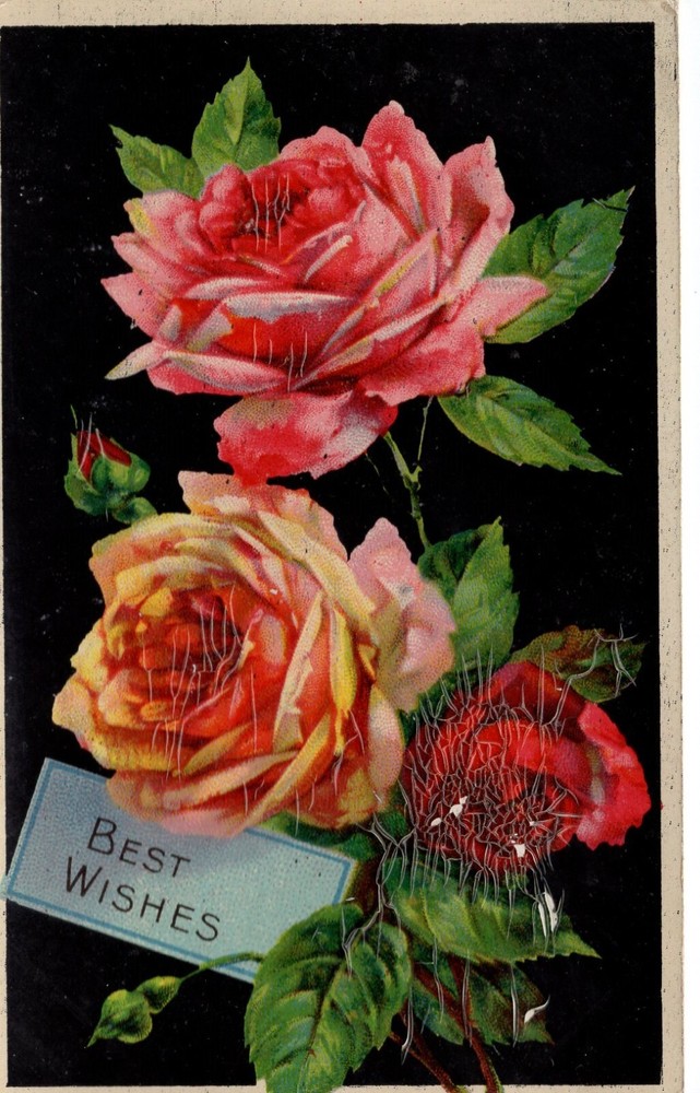 BEST WISHES - PC1175
