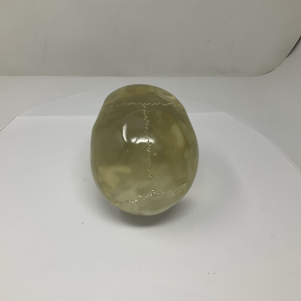 Summit Translucent Skull Head Collectible 2007 Heavy Solid Decoartion 6"