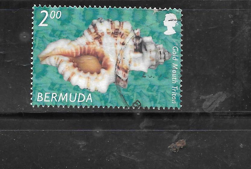 BERMUDA SC#847 2003 $2.00 SHELL DEFINITIVE POSTALLY USED SINGLE STAMP