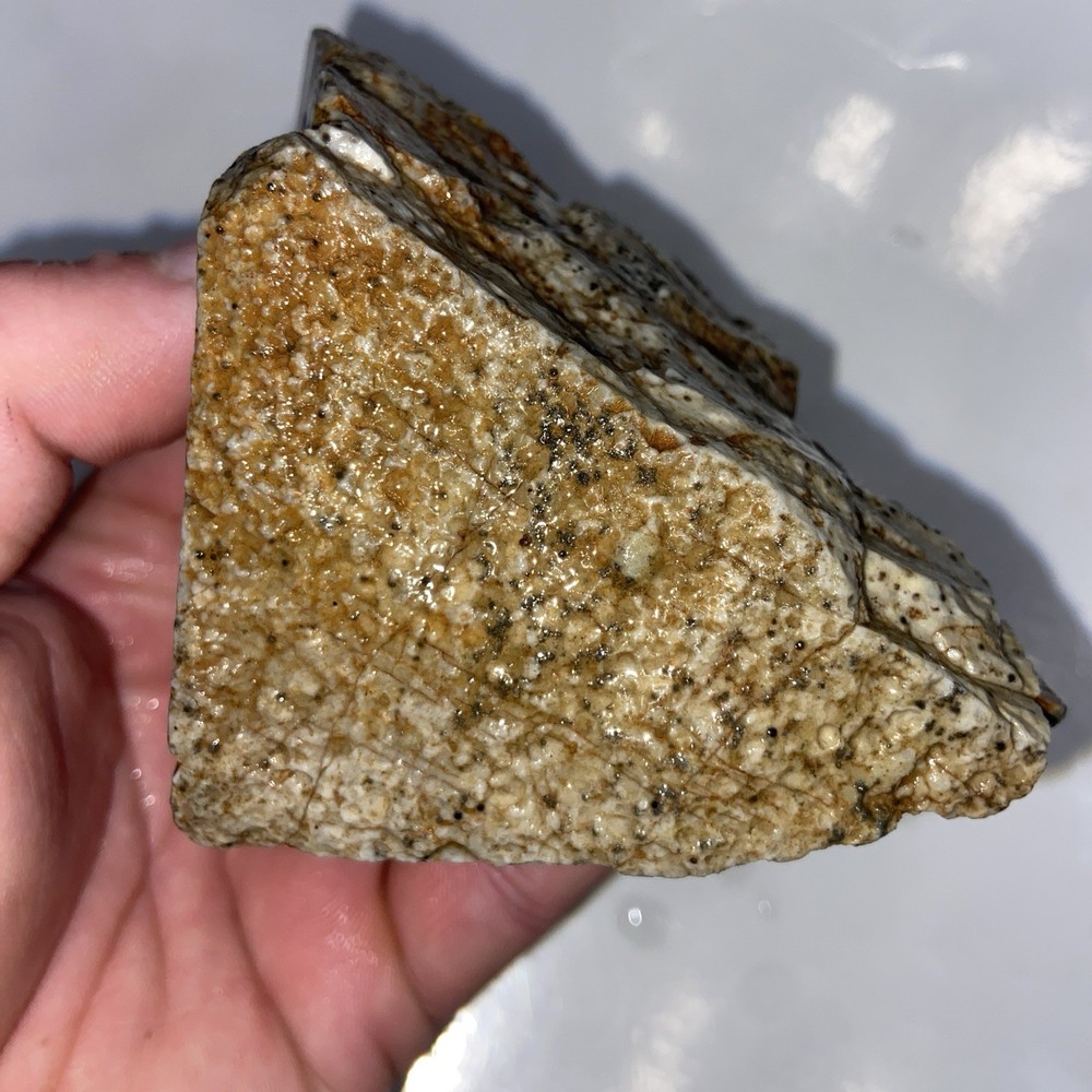 Oolite Agate Rough Lapidary Stone 1 Pound 3 Oz