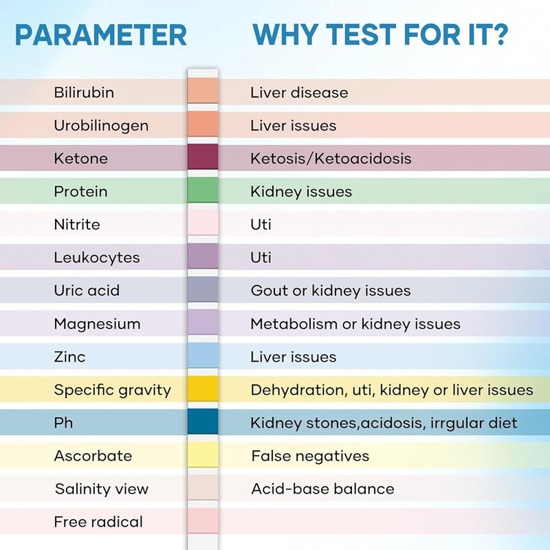 14 Parameter Urine Test Strips UTI Protein Ketones Easy Home Testing 125 Pieces