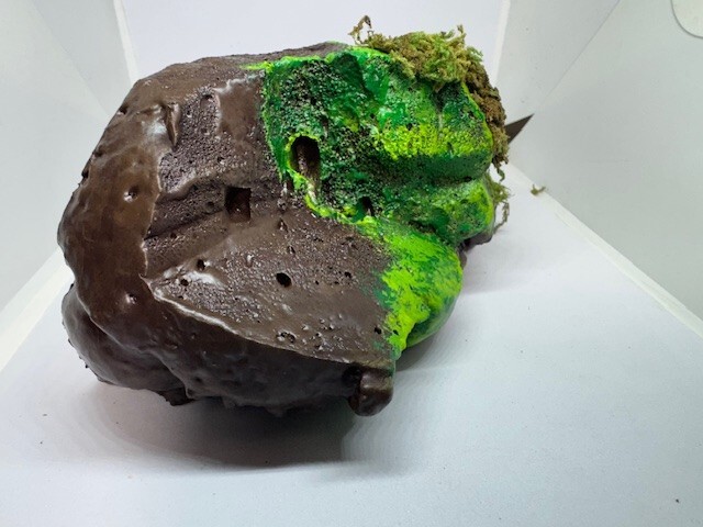 Medium Sub-tropical Magnetic Ledge With 5 Feeder Cups