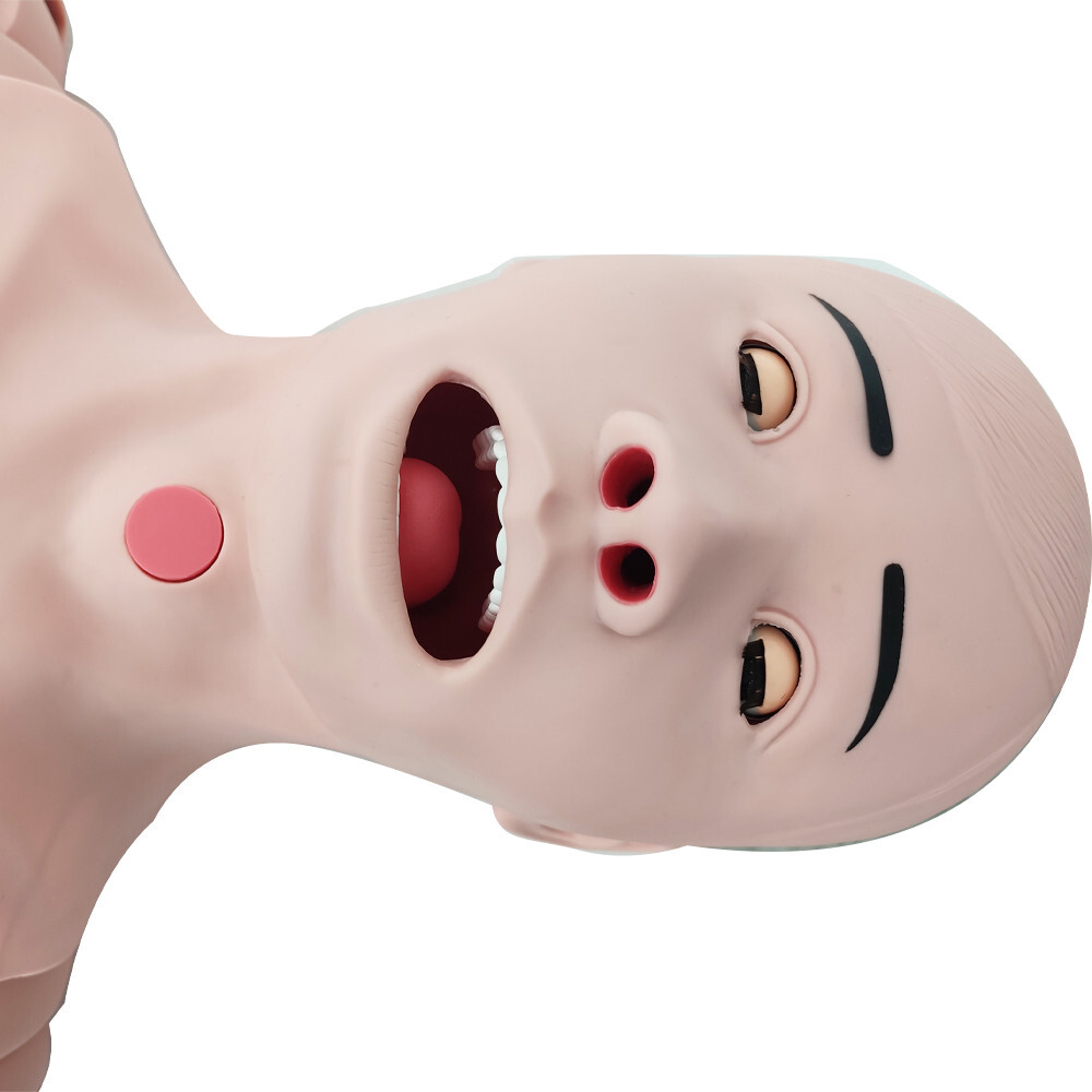 Patient Care Burn Teaching Model 24 Wound Modules Care NursingTraining Model