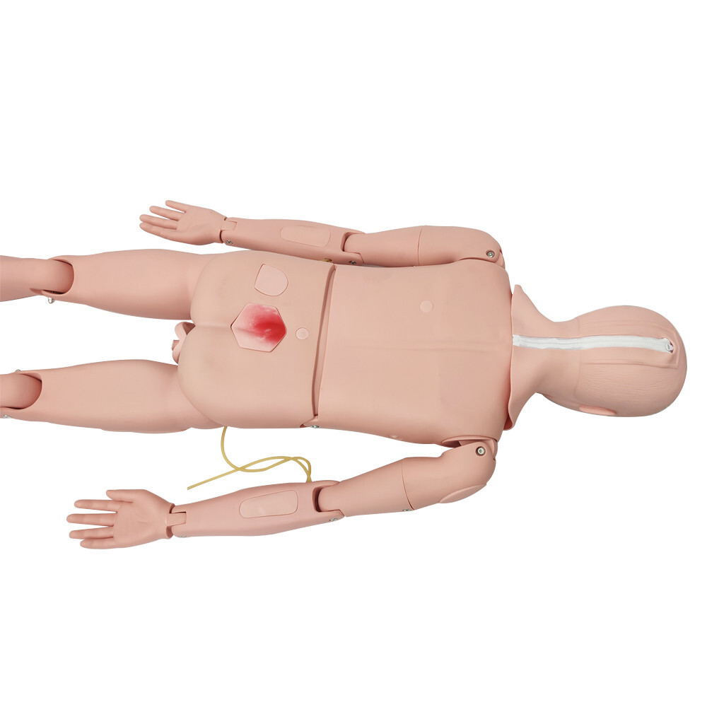 Patient Care Burn Teaching Model 24 Wound Modules Care NursingTraining Model