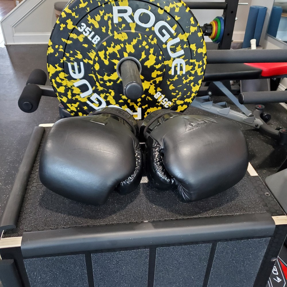 Title Boxing Black Blast Hook and Loop Training Gloves - Black