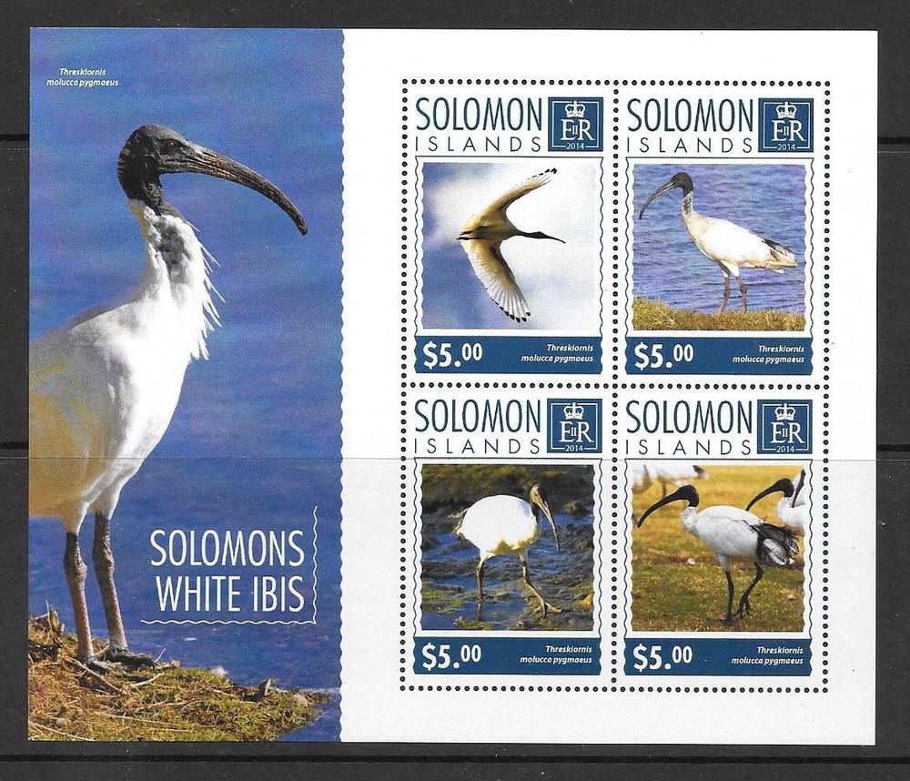 SOLOMON ISLANDS 2014 IBIS (1) MNH