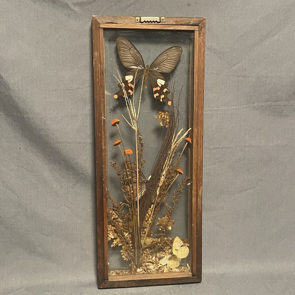 Autumn Butterfly Shadowbox With Fall Decor