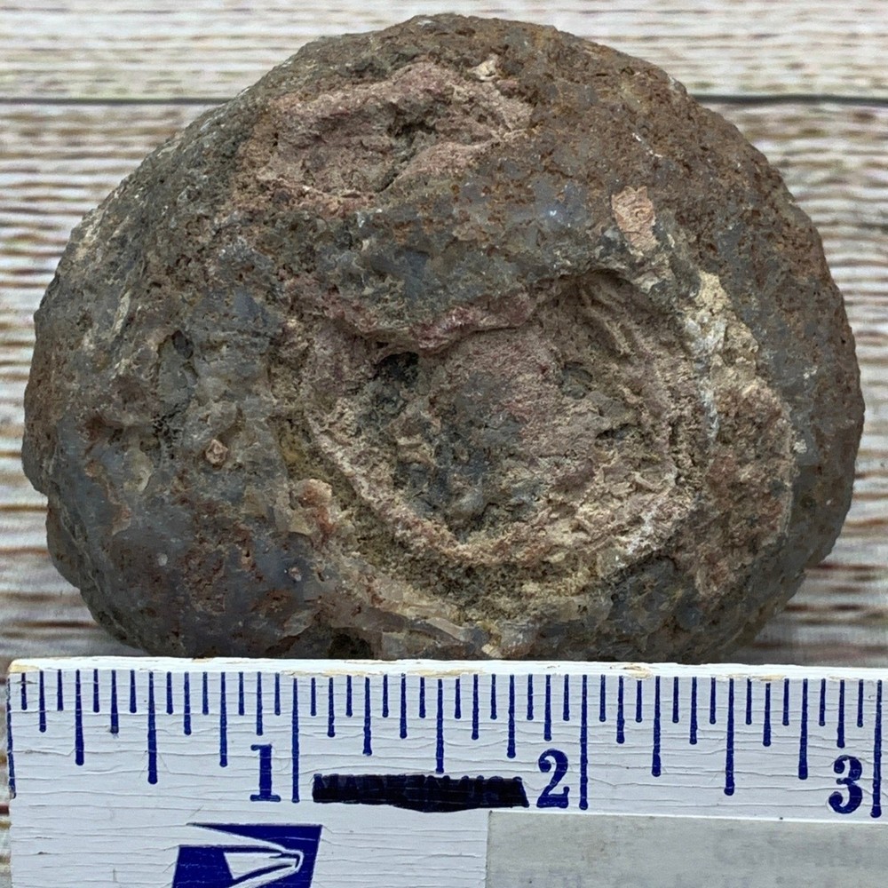 Unique Geode Crystal Rock Specimen Natural Earth Stone