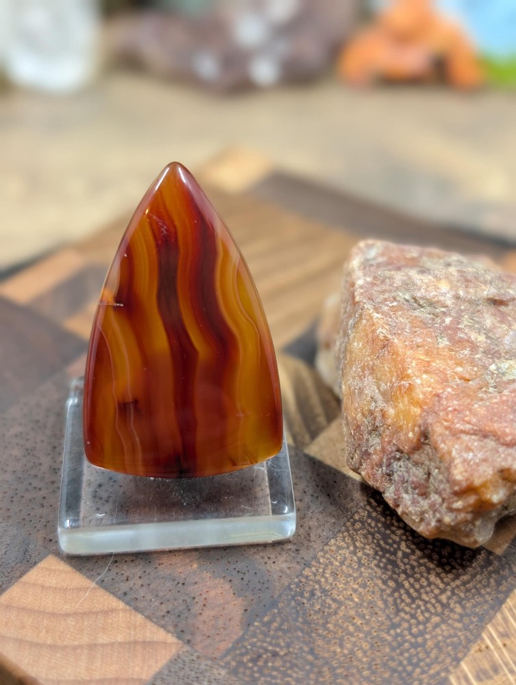 Carnelian - Morocco - 1 pc Cabochon