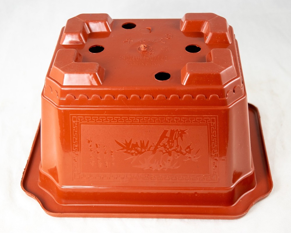 Rectangular Plastic Cactus & Succulent, Bonsai Training Tall Pot 7.25" to 17.5"