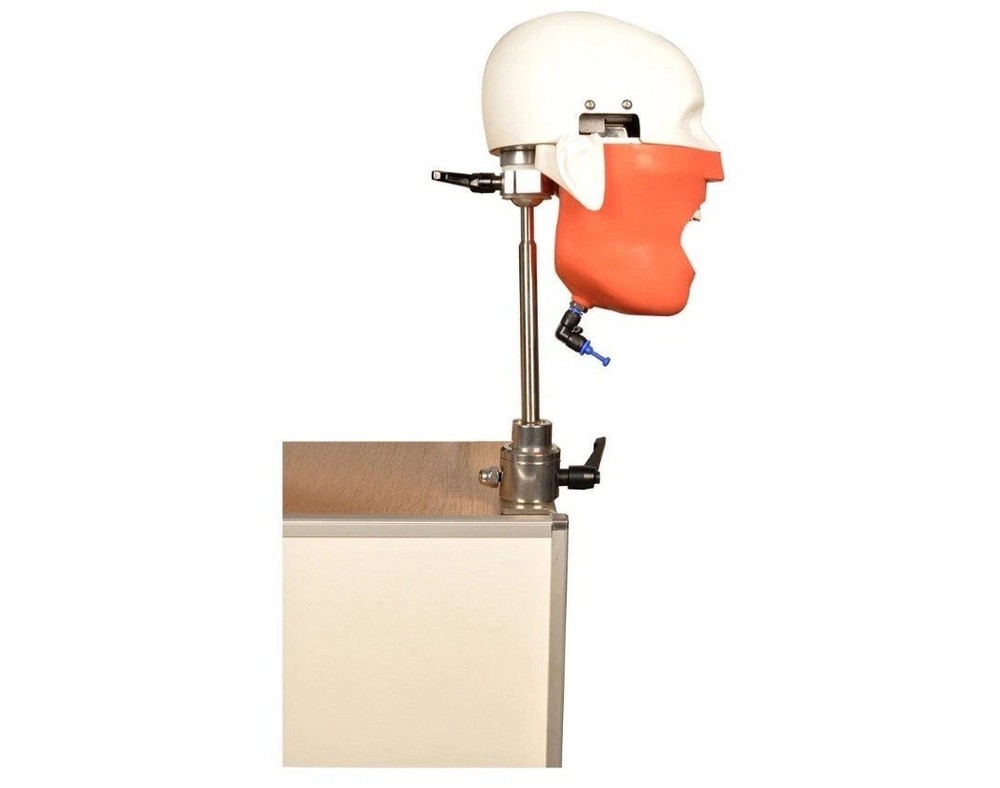 Dental Manikin System for Bench