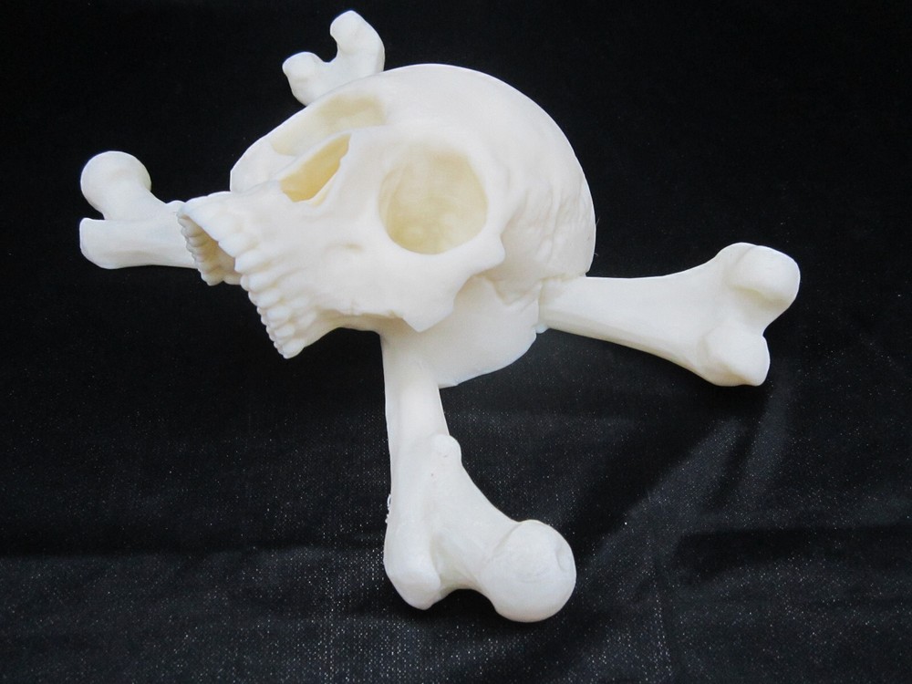 Pirate Skull and Cross Bones 3d Wall Art Display (Bone White)