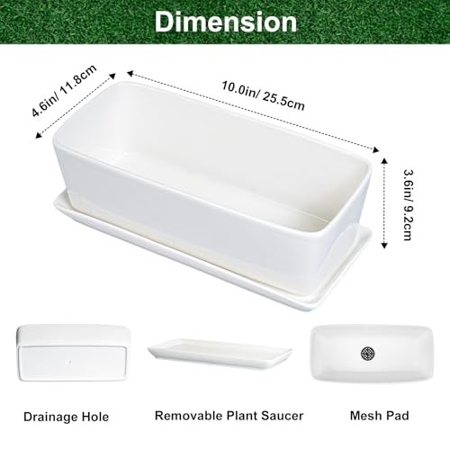 Rectangular Planter - 10 Inch Ceramic Pots for Plants with Drainage Hole and