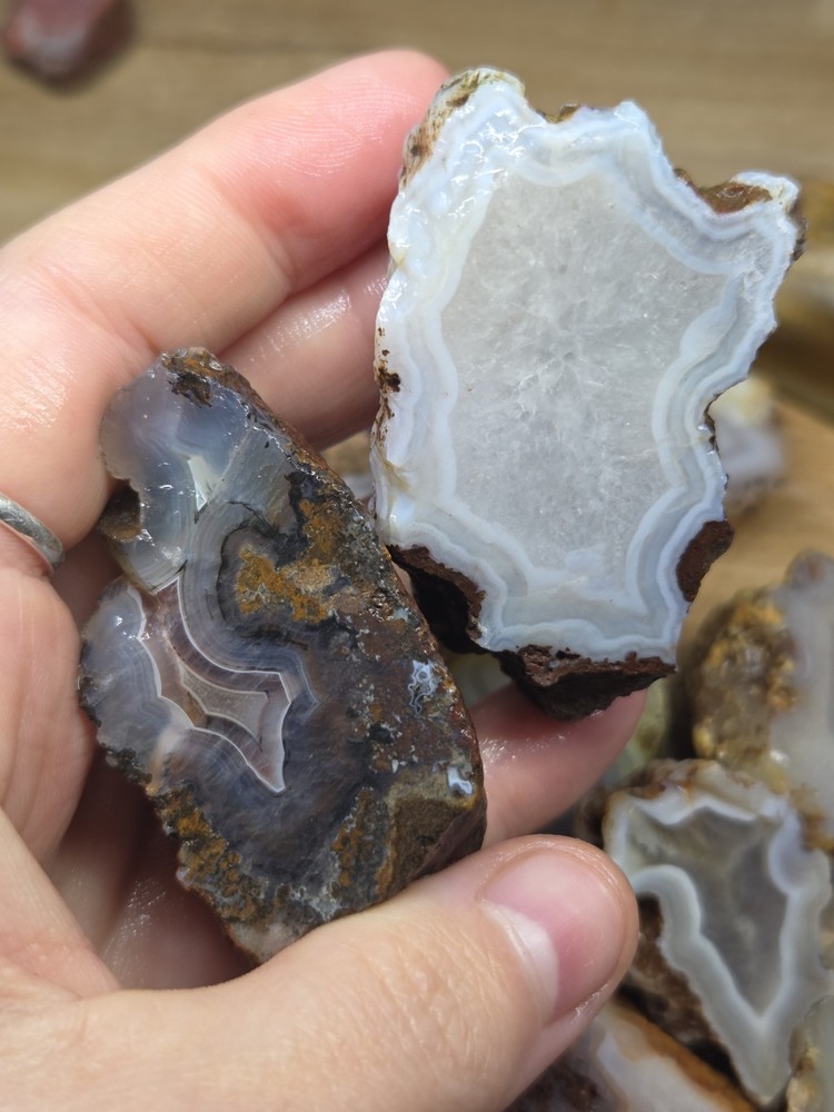 Mix Agate Rough Lot - End Cuts & unpolished halves - B2