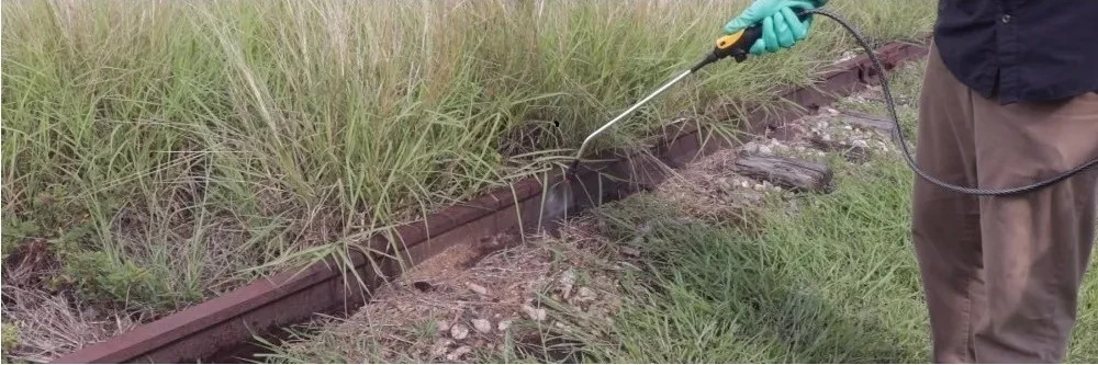 Powerful  Flexible Solution for Weed Control Ahead of CanolaCONQUER II Herbicide