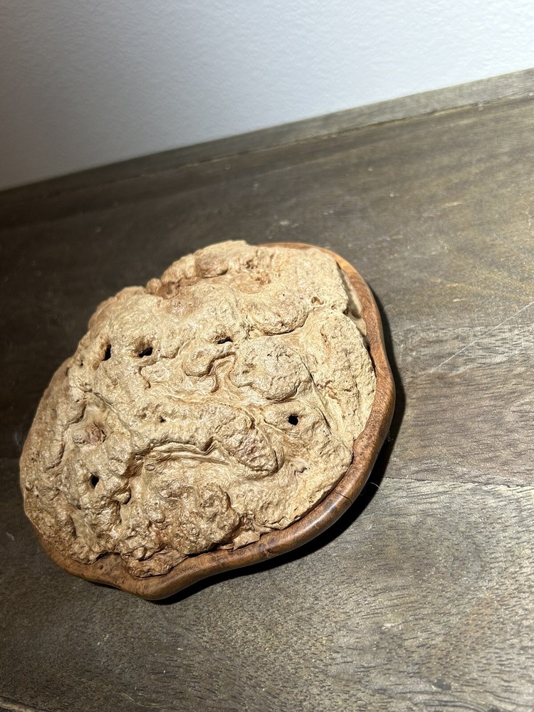 Tree burl handmade incense burner
