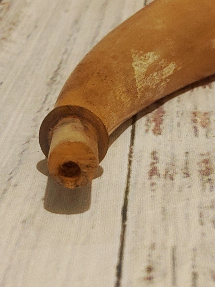 Authentic Antique Powder Horn