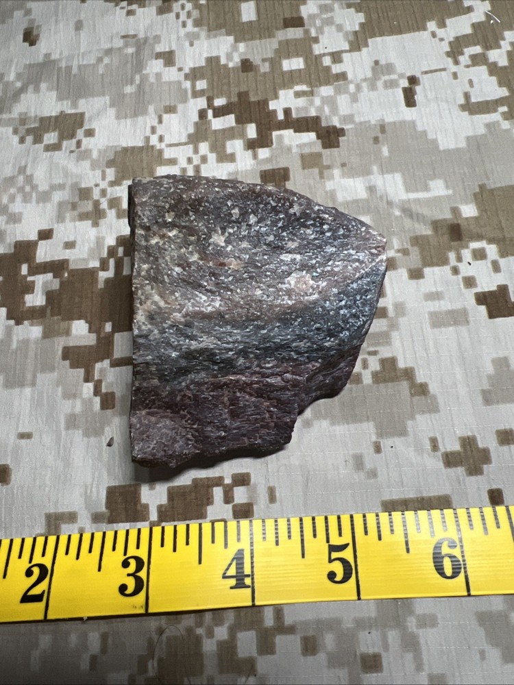 Fossil T-Rex Bone Fragment