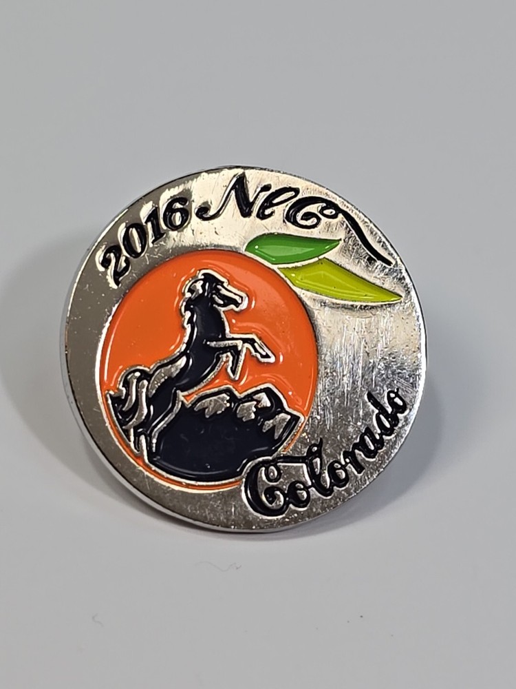 NEC 2016 Colorado Lapel Pin